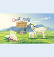 goat and kid in mountain landscape vector image