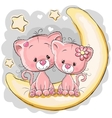 two cats on the moon vector image