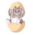 easter bunny sitting in eggshell furry animal vector image vector image
