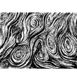 decorative wood texture isolated in white vector image