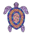 stylized turtle with ethnic pattern vector image