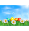 easter eggs in the grass vector image
