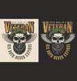 veteran concept emblem vector image