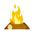 bonfire with logs tourist campfire vector image