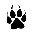 wolf print vector image vector image