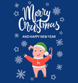pig in red sweater with reindeer green hat candy vector image vector image