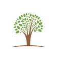 tree growth and prosperity symbol logo design vector image