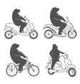 vintage of bear vector image vector image