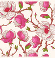 pink magnolias vector image