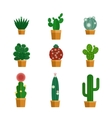 cactus icons in flat style vector image