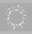 circle frame of flying white soft bird feathers vector image