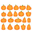 cartoon pumpkin different shapes and sizes vector image vector image