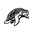 kemps ridley sea turtle swimming to right mascot vector image