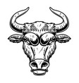 head bull in vintage monochrome style design vector image