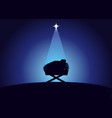 birth of christ baby jesus vector image vector image