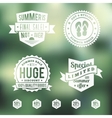 summer sale vintage badges set vector image