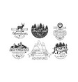 forest camp premium retro labels set camping club vector image