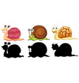 set insect cartoon character and its vector image
