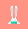 white rabbit wearing a protective mask vector image vector image