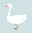 cute white goose cartoon vector image