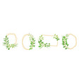 set of floral botanical frames with green leaves vector image