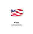 usa flag in grunge style vector image
