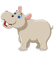 funny hippo cartoon smiling vector image