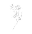 line drawing botanical wreath herbs and florals vector image vector image