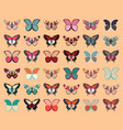 collection of thirty six colorful butterflies vector image vector image