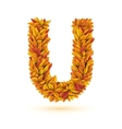 autumn fall bright orange leaves letter vector image