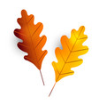 two autumn oak leaves leaf icon branch vector image vector image