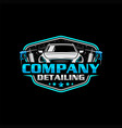 detailing car logo and car wash logo vector image vector image