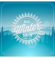 big winter sale poster vector image