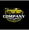 detailing car logo and car wash logo vector image vector image