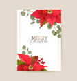 realistic poinsettia 3d flowers winter card merry vector image vector image