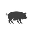 pig silhouette isolated on white background vector image