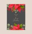 poinsettia winter floral card christmas vector image vector image