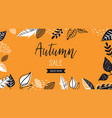 autumn sale background banner with leaves vector image