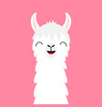llama alpaca animal face neck fluffy hair fur vector image vector image