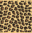 seamless pattern with leopard skin vector image