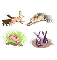 rabbit running vector image