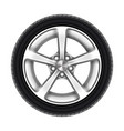 isolated car wheel tyre or tire on white vector image