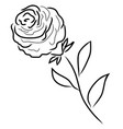 rose silhouette vector image