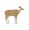 female greater kudu seen in side view - flat vector image vector image