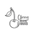 hand drawn cherry icon vector image