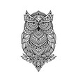 owl zen art mandala in line art style vector image vector image