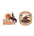 rodeo retro logo with cowboy horse rider vector image