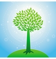 growth concept vector image vector image