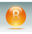 vitamin b vector image vector image
