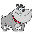 angry bulldog dog character gray color vector image